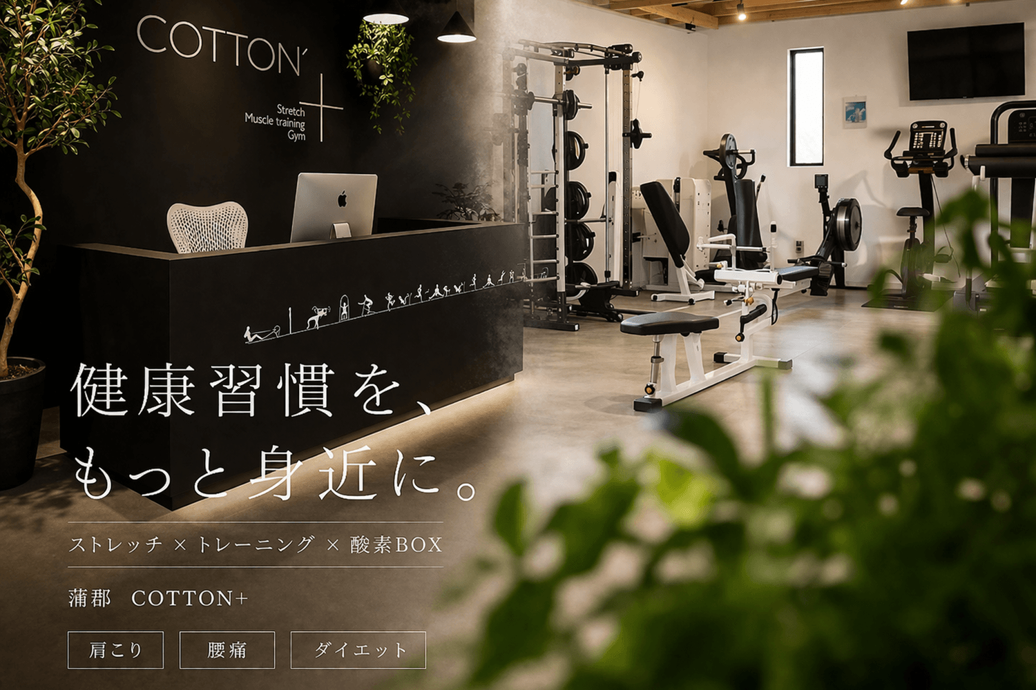 COTTON+ ヒーロー画像 3